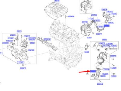 EGZOZ DIRSEK BORU CONTA 284922U000
