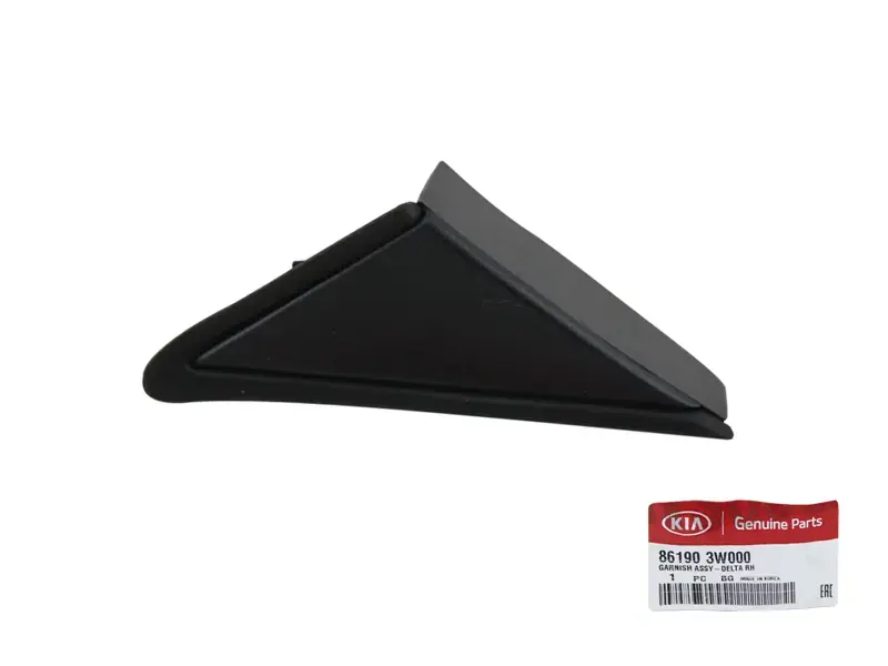 Dıs Dıkız Ayna Kose Bakalıtı Sag 861903W000