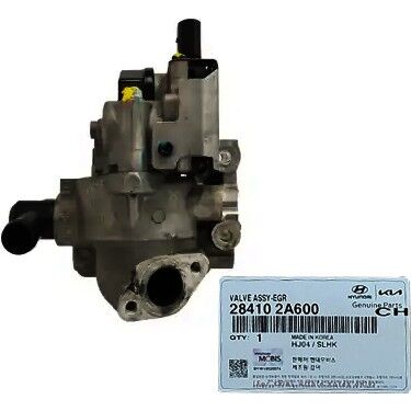 Egr Valfı 284102A600