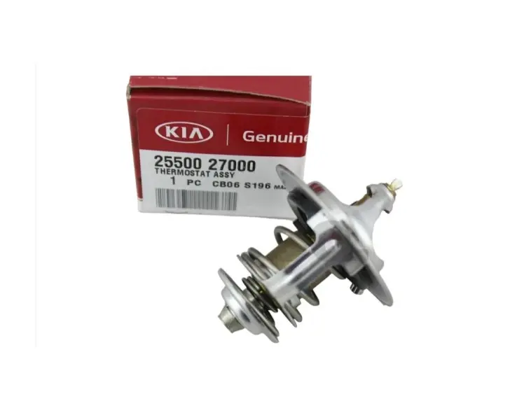 Termostat 2550027000