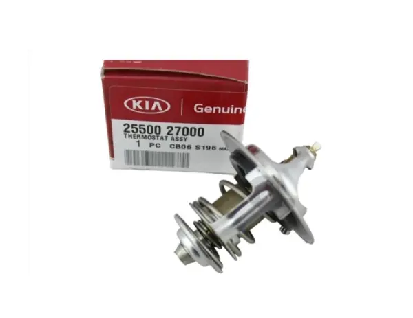 Termostat 2550027000