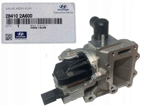 Egr Valfı 284102A600